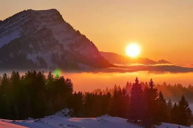 Reifer Sex Appenzell-Ausserrhoden