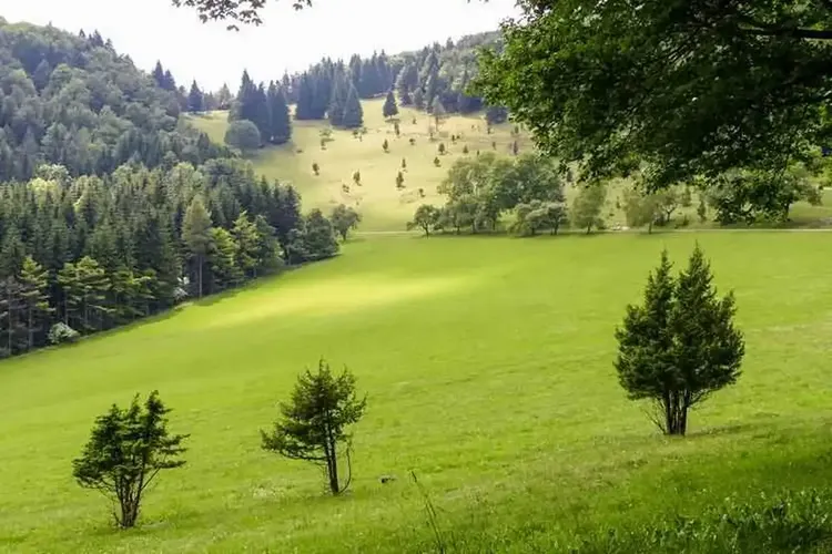 Reifer Sex Balingen