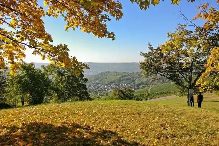 Reifer Sex Fellbach
