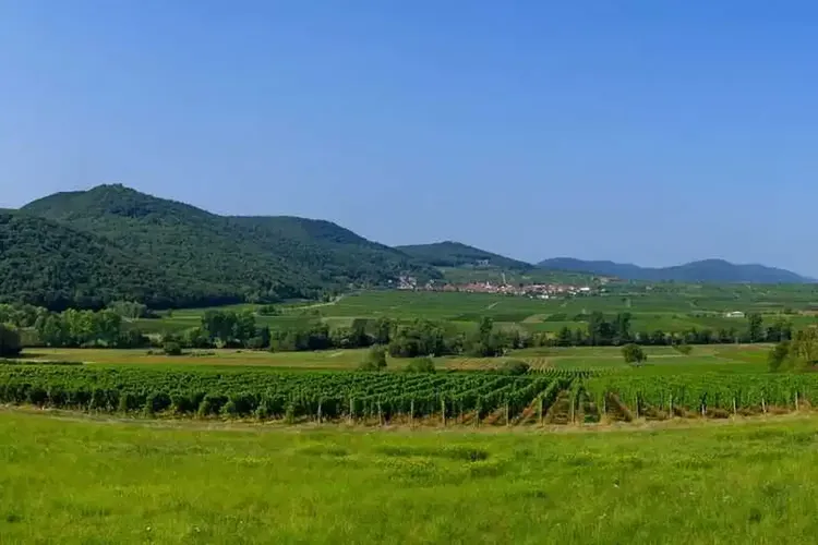 Reifer Sex Neustadt
