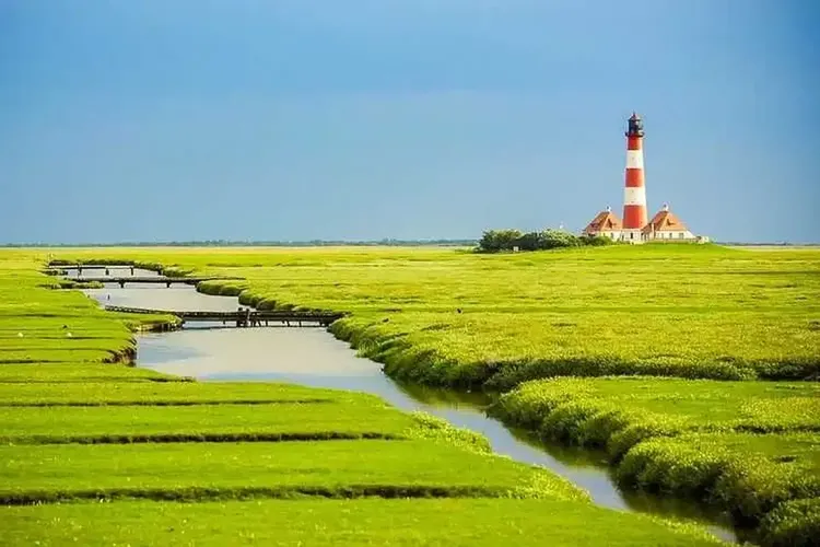 Reifer Sex Nordfriesland