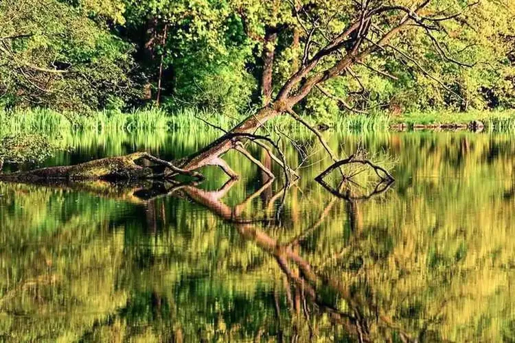Reifer Sex Nordthüringen
