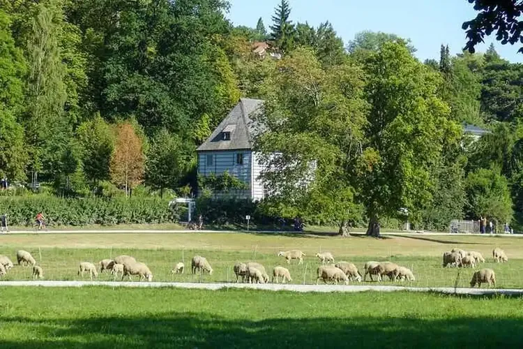 Reifer Sex Weimarer Land