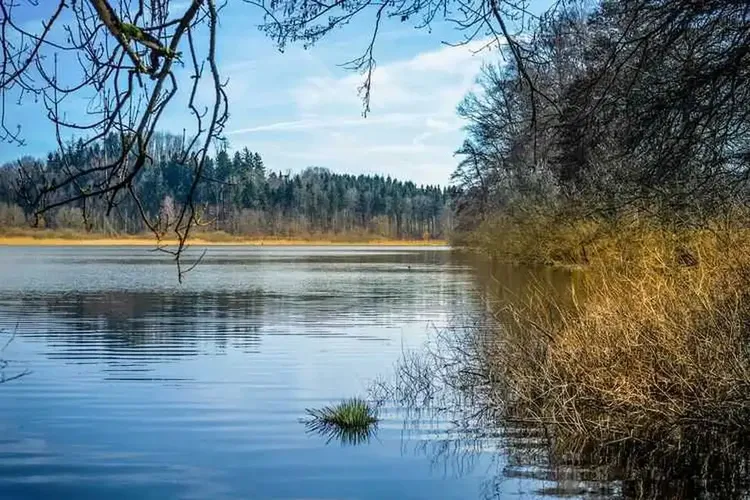 Reifer Sex Weingarten
